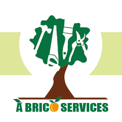 A Brico Services